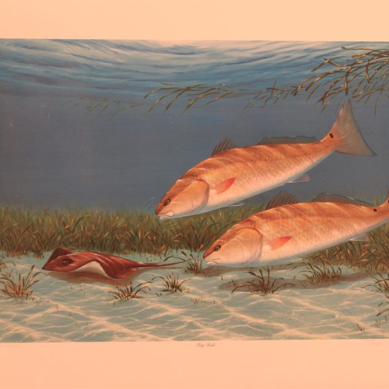 bay reds print by raul andrade for sale by james burkholder