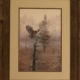 red shouldered hawk print by marilyn moseley for sale by james burkholder