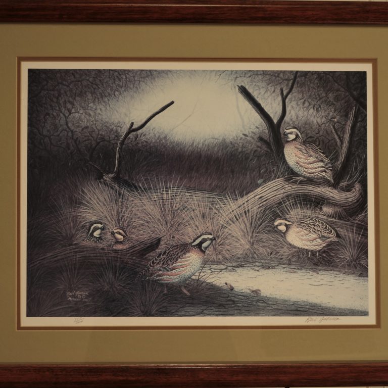 quail covey print by raul andrade for sale by james burkholder