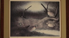 quail covey print by raul andrade for sale by james burkholder