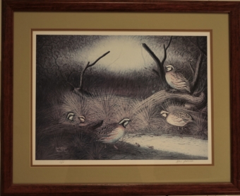 quail covey print by raul andrade for sale by james burkholder