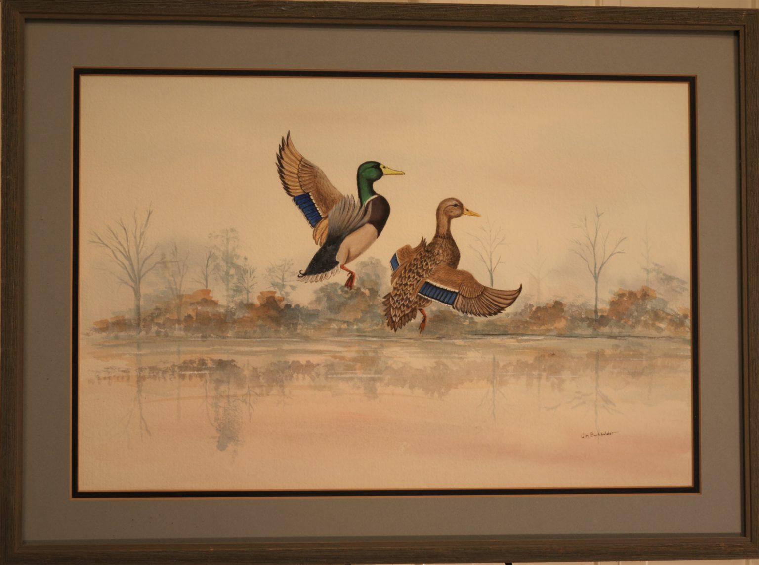 painting mallards in flight by james burkholder