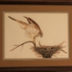 matted print Coopers Hawk by James Burkholder