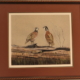 art print Bobwhite Quail by James Burkholder