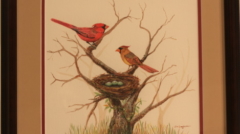 painting Cardinals nest by james burkholder