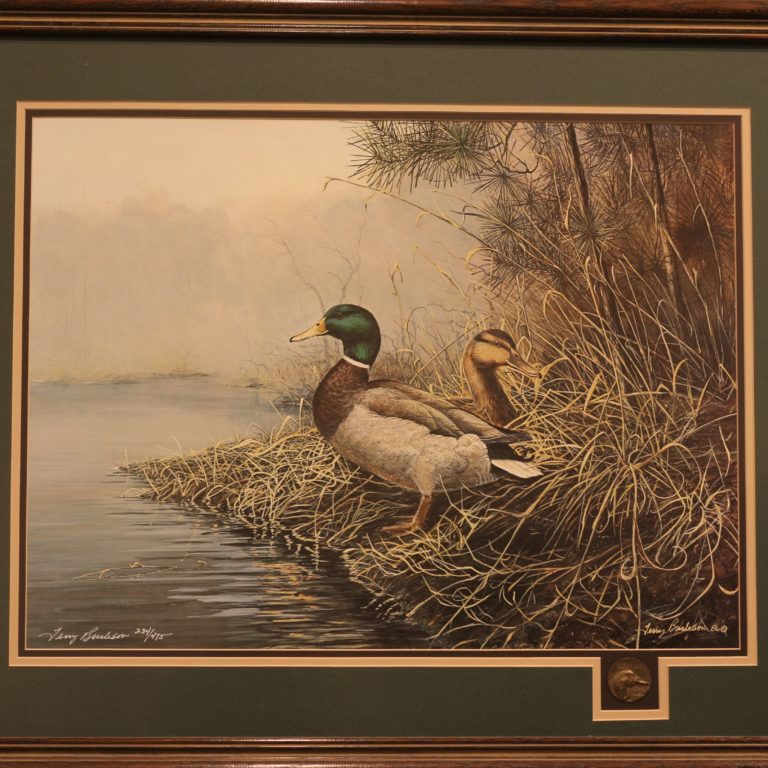 mallards art print by terry burleson for sale by james burkholder