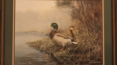 mallards art print by terry burleson for sale by james burkholder