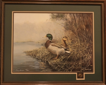mallards art print by terry burleson for sale by james burkholder
