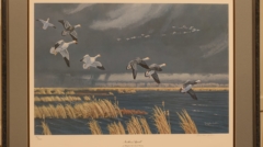 northern squall art print by brenda carter for sale by james burkholder