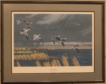 northern squall art print by brenda carter for sale by james burkholder