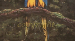 art print Paradiso Macaws by James Burkholder