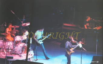 photo of The who by james burkholder