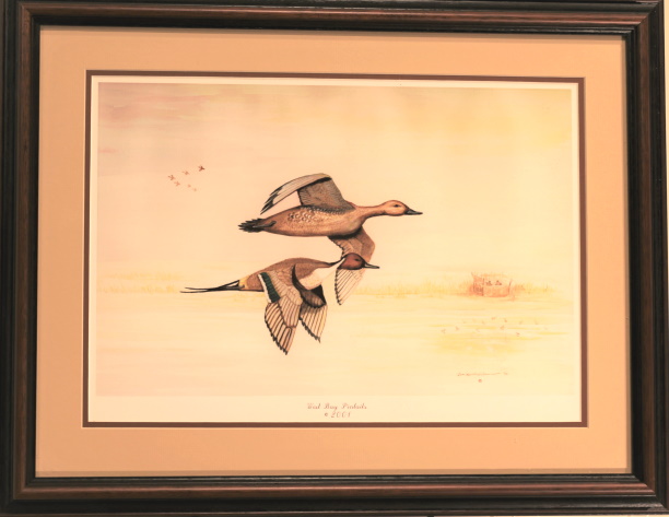painting of West Bay Pintails by James Burkholder