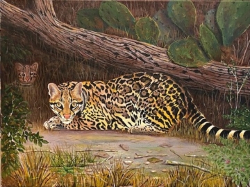 Visit Rockartscity Gallery Harlingen Texas for Ocelot Painting