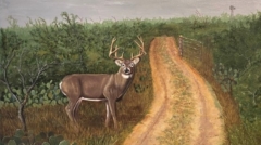 White Tailed Deer Painting by James Burkholder