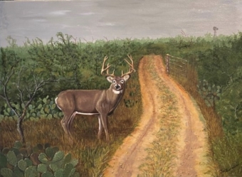White Tailed Deer Painting by James Burkholder