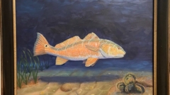 Laguna Madre Redfish is a 12 x 16 oil on canvas painting by Jim Burkholder of Rockartscity Gallery showing a redfish heading for the shallows.