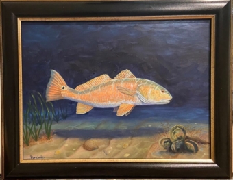 Laguna Madre Redfish is a 12 x 16 oil on canvas painting by Jim Burkholder of Rockartscity Gallery showing a redfish heading for the shallows.