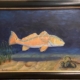 Laguna Madre Redfish is a 12 x 16 oil on canvas painting by Jim Burkholder of Rockartscity Gallery showing a redfish heading for the shallows.