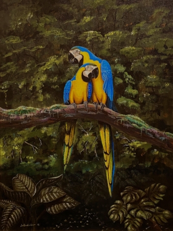 Paradiso is a painting by James Burkholder of Rockartscity Gallery showing macaws in the rainforest of Costa Rica.