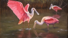 Where Spoonbills Gather is a painting by artist Jim Burkholder of Rockartscity Gallery, Harlingen, Texas