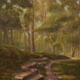 The painting Where the Light Finds You a painting by Jim Burkholder shows a serene forest with a sunlit path in Hot Springs National Forest.