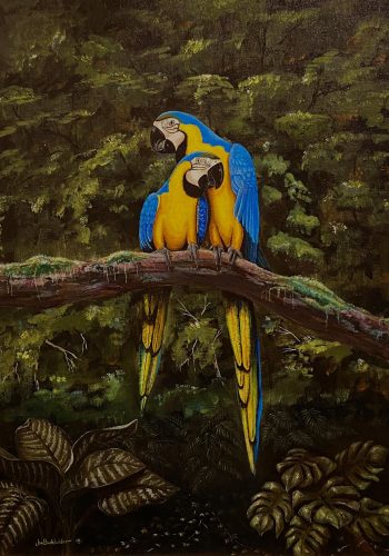 Paradiso is a painting by James Burkholder of Rockartscity Gallery showing macaws in the rainforest of Costa Rica.