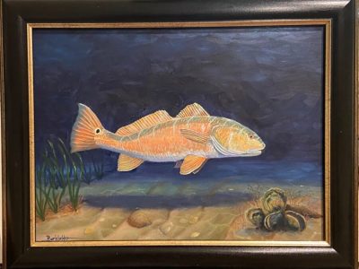 Laguna Madre Redfish is a 12 x 16 oil on canvas painting by Jim Burkholder of Rockartscity Gallery showing a redfish heading for the shallows.