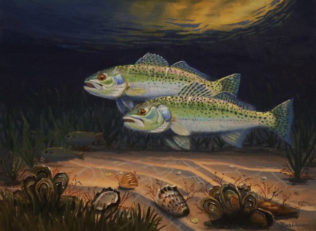 Double Trouble is a painting by Jim Burkholder showing two speckled trout chasing baitfish in the Laguna Madre.